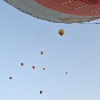評論圖片 5