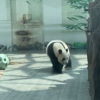 評論圖片 3