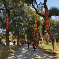 評論圖片 6