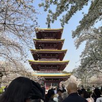 評論圖片 1