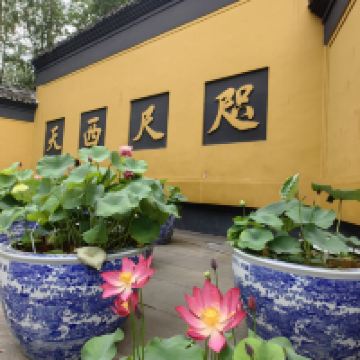 評論圖片 1