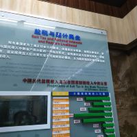 評論圖片 3