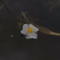 評論圖片 7