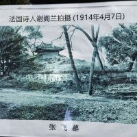 評論圖片 2