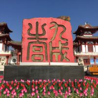 評論圖片 6