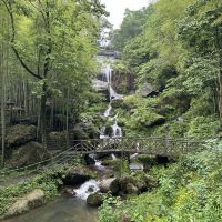 評論圖片 3