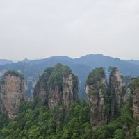 評論圖片 5