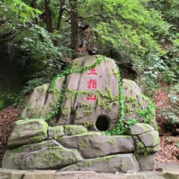評論圖片 1