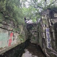 評論圖片 4