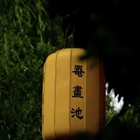 評論圖片 2