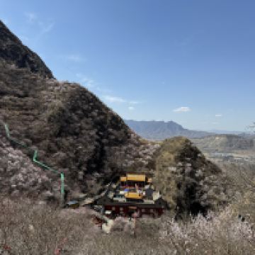 評論圖片 5