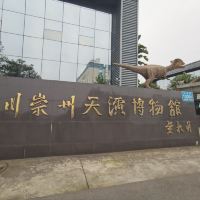 評論圖片 1