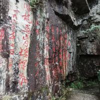 評論圖片 2