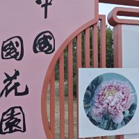 評論圖片 1