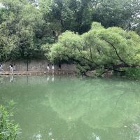 評論圖片 5