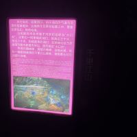 評論圖片 2