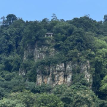 評論圖片 4