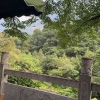 評論圖片 5