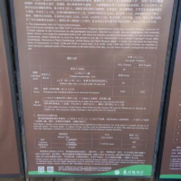 評論圖片 2