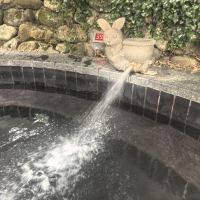 評論圖片 7