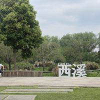 評論圖片 1