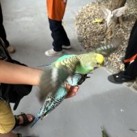 評論圖片 3