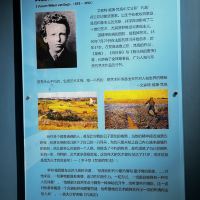 評論圖片 4