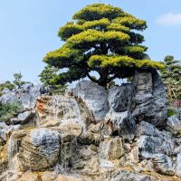 評論圖片 7