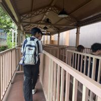 評論圖片 4