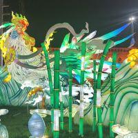 評論圖片 6