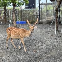 評論圖片 2