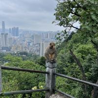 評論圖片 7