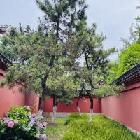 評論圖片 2