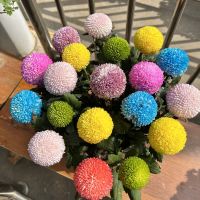 評論圖片 4
