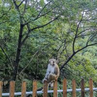 評論圖片 4