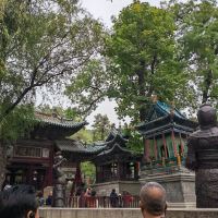 評論圖片 5
