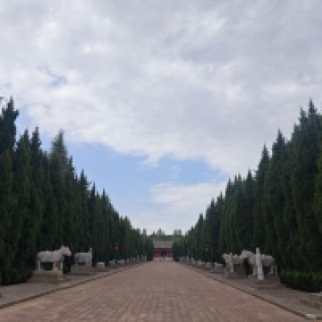 評論圖片 3