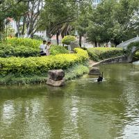 評論圖片 1