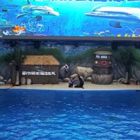 評論圖片 9