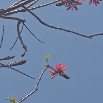 評論圖片 4