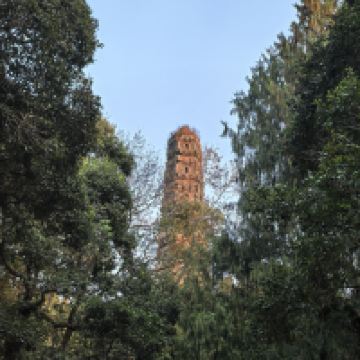 評論圖片 9
