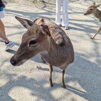 評論圖片 2