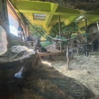 評論圖片 7