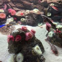 評論圖片 2