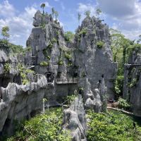 評論圖片 4