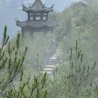 評論圖片 6