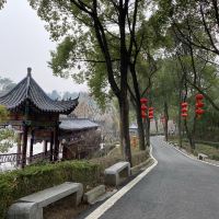 評論圖片 7