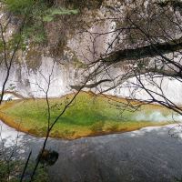 評論圖片 6