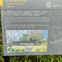 評論圖片 8