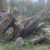 評論圖片 8